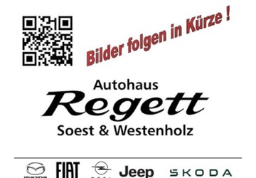Fiat Grande Panda 3.051 km 22.990 &euro; Delbrück-Westenholz 33129