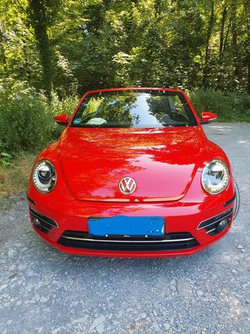 Gebrauchte VW Beetle