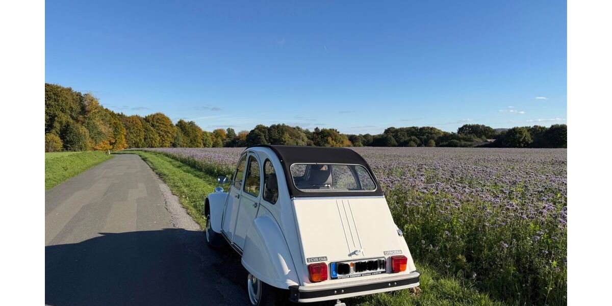 Citroen 2 CV 42.180 km 18.750 &euro; Werther 33824