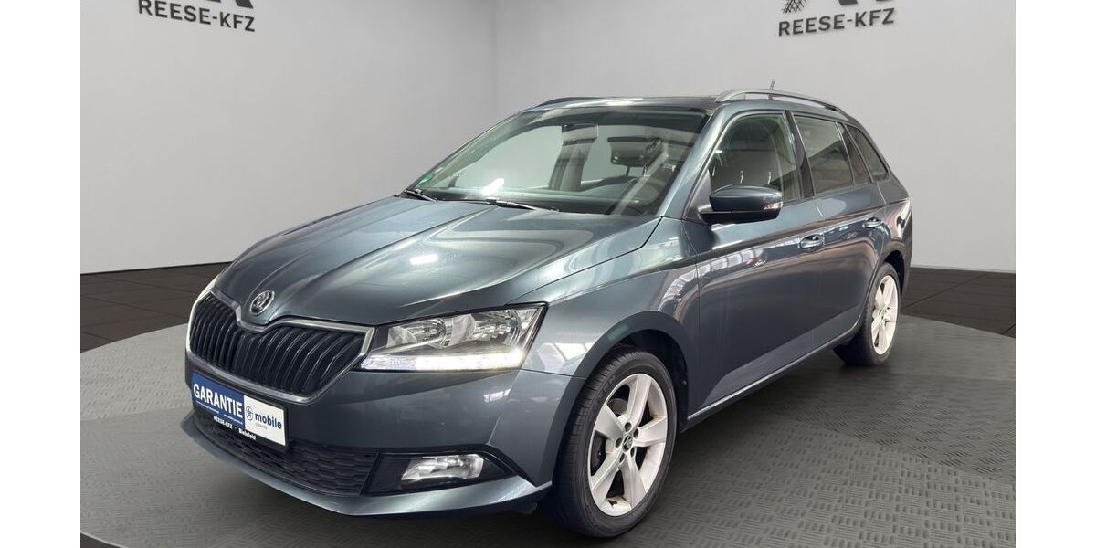 Skoda Fabia 91.000 km 9.590 &euro; Bielefeld 33604