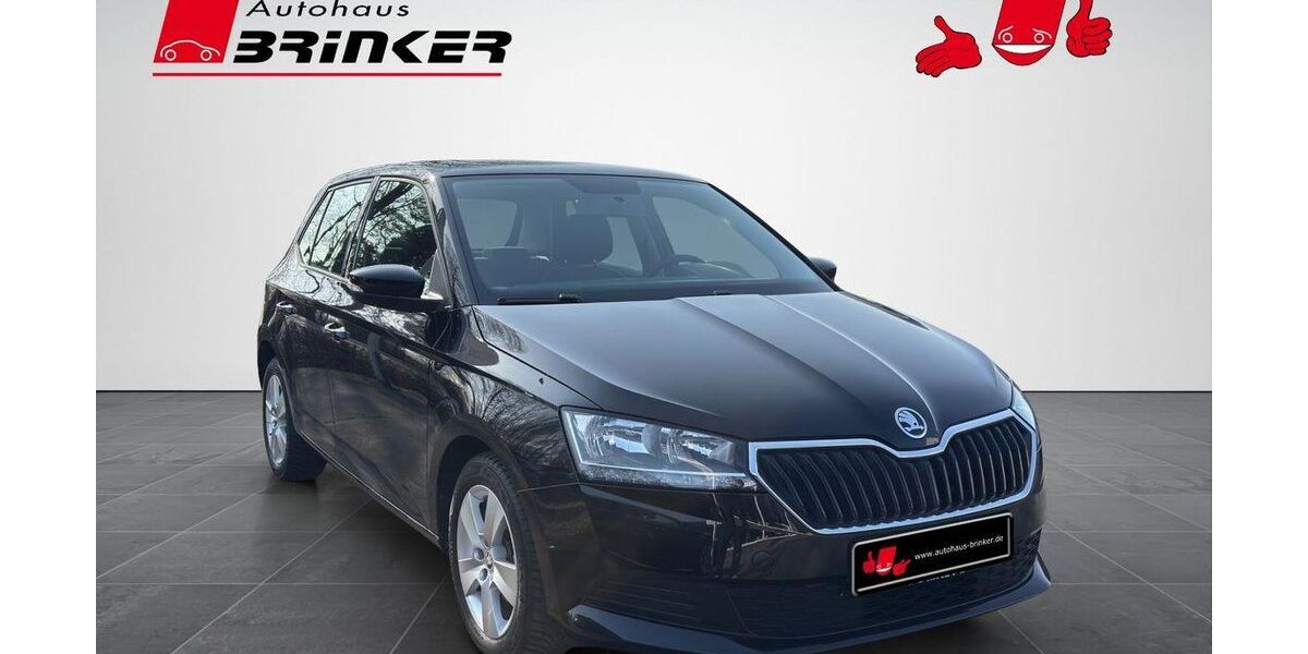 Skoda Fabia 45.717 km 11.930 &euro; Bielefeld 33649