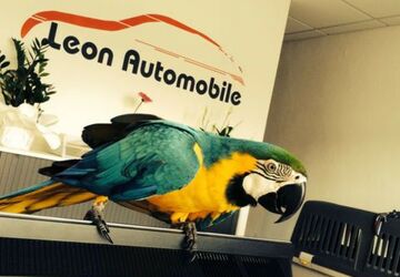 Skoda Fabia 119.500 km 13.490 &euro; Bad Oeynhausen 32547