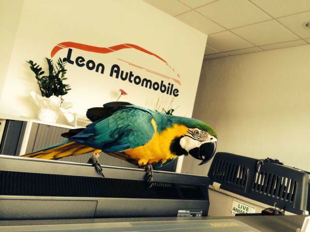 Skoda Fabia 119.500 km 13.490 &euro; Bad Oeynhausen 32547