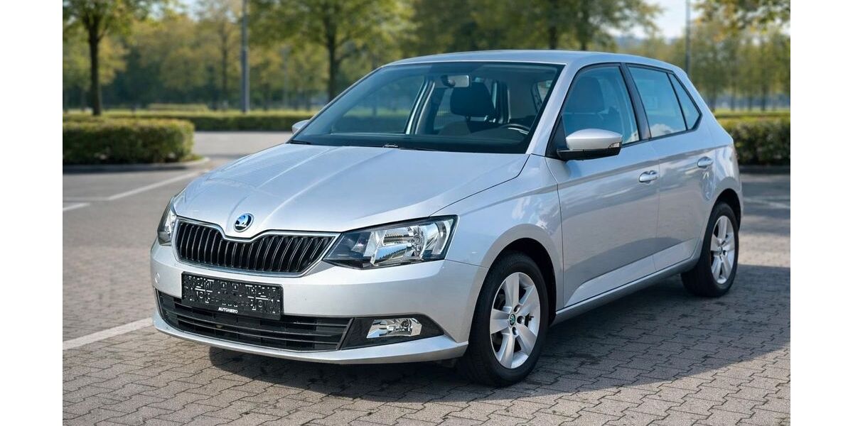 Skoda Fabia 58.928 km 8.190 &euro; Melle 49324