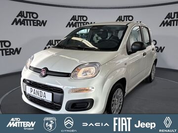 Gebrauchte Fiat Panda