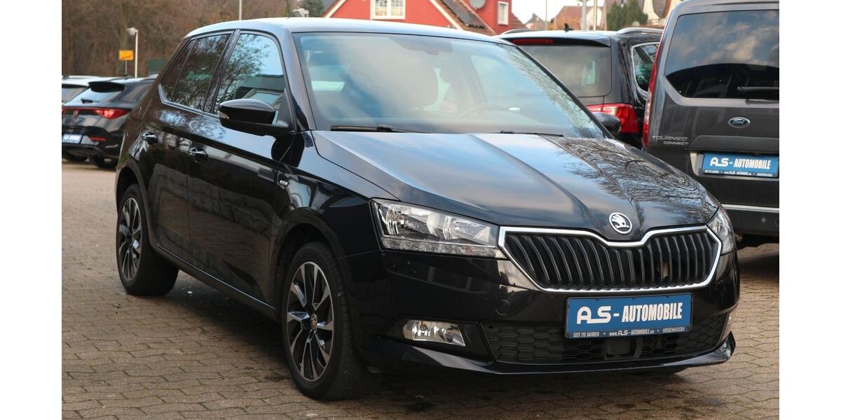 Skoda Fabia 124.700 km 10.390 &euro; Hiddenhausen 32120
