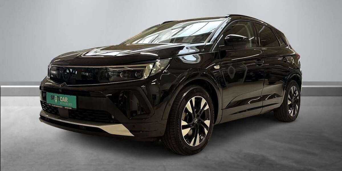 Opel Grandland X 22.486 km 25.685 &euro; Spenge 32139