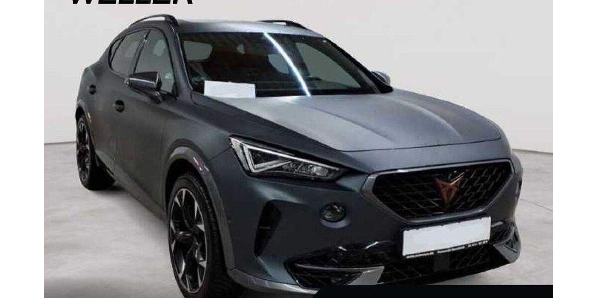 Cupra Formentor 93.980 km 26.950 &euro; Herford 32051